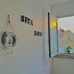 Sfea * 파키노